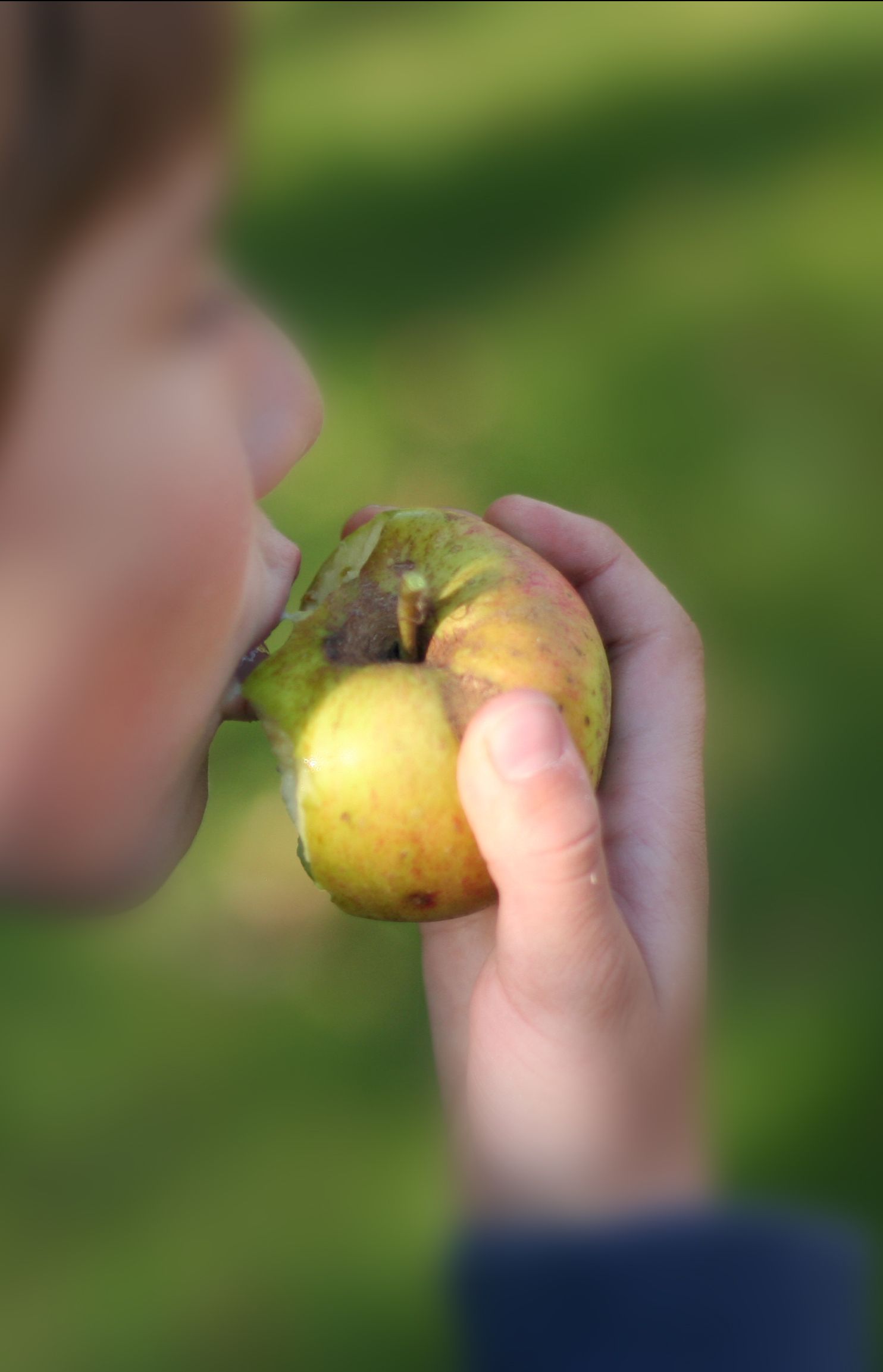 kornellkirschen-und-Kürbissuppe-016