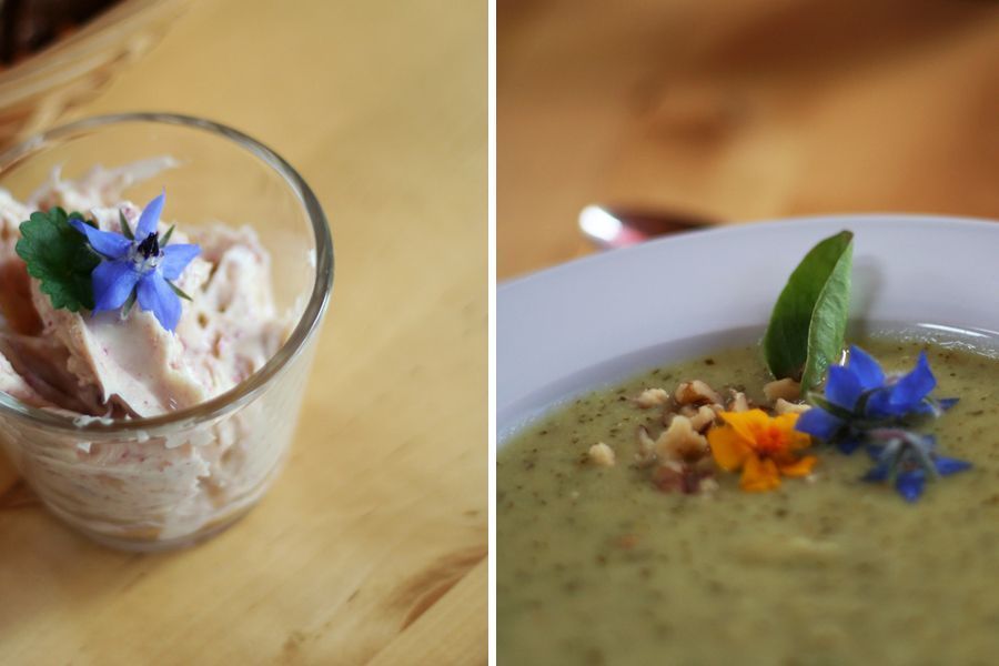 wildkräuterkochen-013