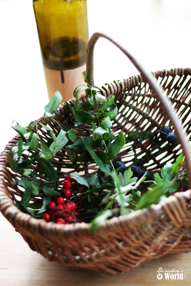 wildkräuterkochen-057